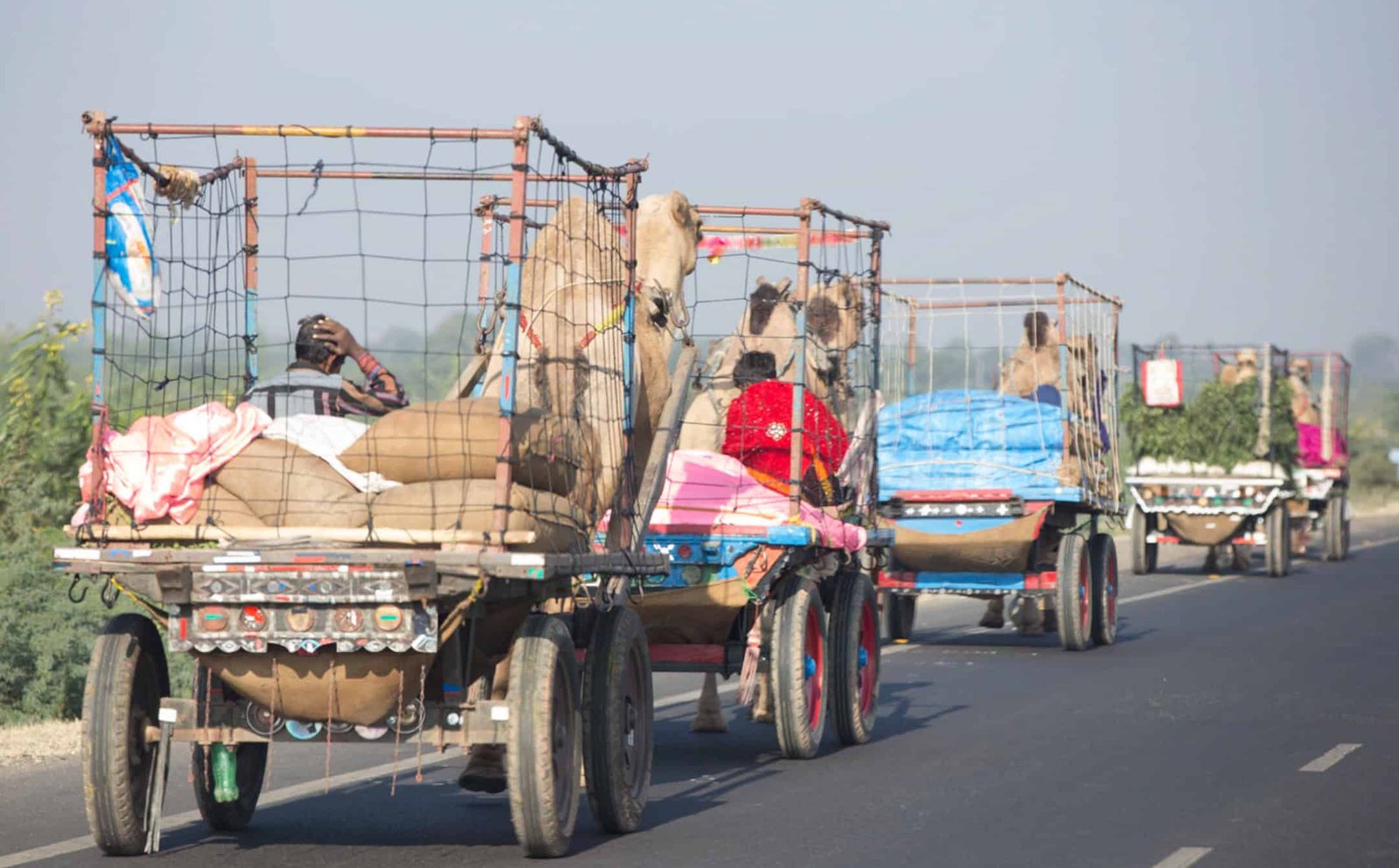 sulle strade dell India-2